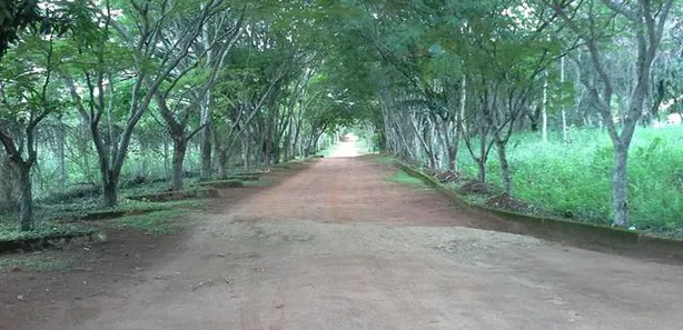Terreno / Lote / Condomínio à venda, 1065m² no Balneário Quintas do Lago, Cláudio