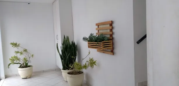Prédio Inteiro para alugar, 60m² no Centro, São José dos Pinhais