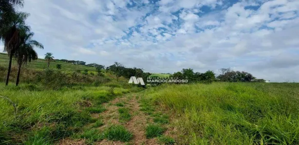 Fazenda / Sítio / Chácara com 1 Quarto à venda, 101156m² no Área Rural de Olímpia, Olímpia
