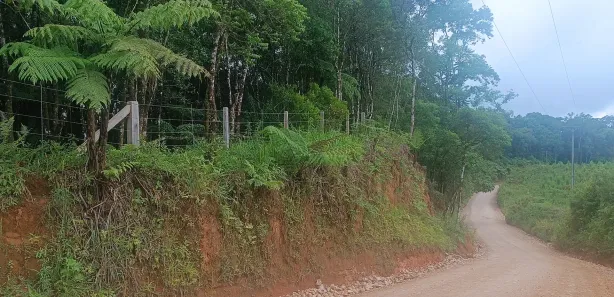 Fazenda / Sítio / Chácara à venda, 20000m² no Área Rural de Campo Largo, Campo Largo