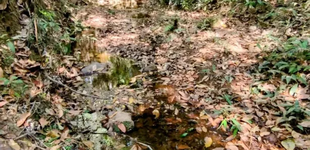 Fazenda / Sítio / Chácara à venda, 20000m² no Setor de Habitações Individuais Sul, Brasília