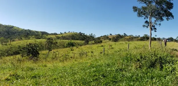 Fazenda / Sítio / Chácara com 4 Quartos à venda, 550000m² no Padre Bernardo, Padre Bernardo