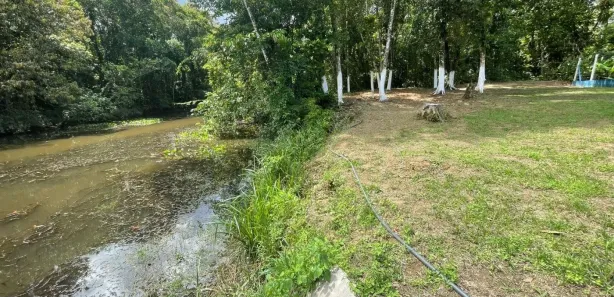 Fazenda / Sítio / Chácara com 4 Quartos à venda, 6000m² no Balneario Gaivotas, Itanhaém