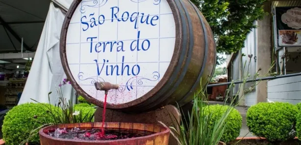 Fazenda / Sítio / Chácara com 4 Quartos à venda, 1000m² no Saboó, São Roque