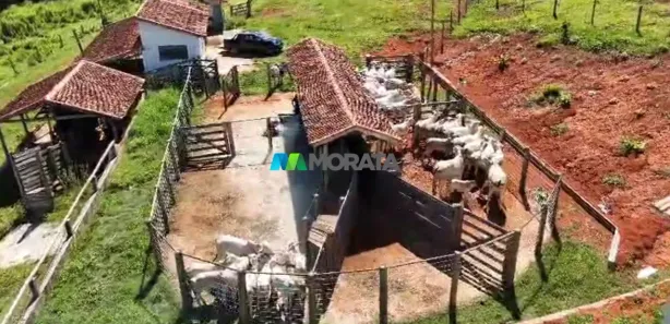 Fazenda / Sítio / Chácara com 1 Quarto à venda, 44m² no Centro, Pouso Alegre