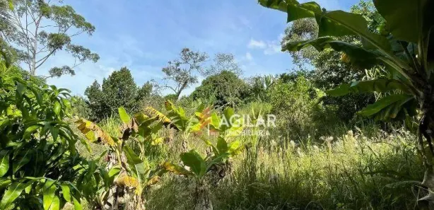 Fazenda / Sítio / Chácara com 3 Quartos à venda, 3400m² no Chácaras Recanto do Engenho, Ibiporã