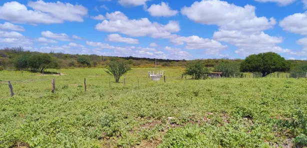 Fazenda / Sítio / Chácara com 2 Quartos à venda, 114m² no Gercino Coelho, Petrolina