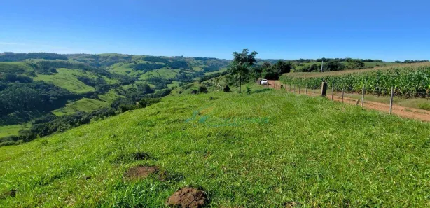 Fazenda / Sítio / Chácara à venda, 150m² no , Guaraniaçu