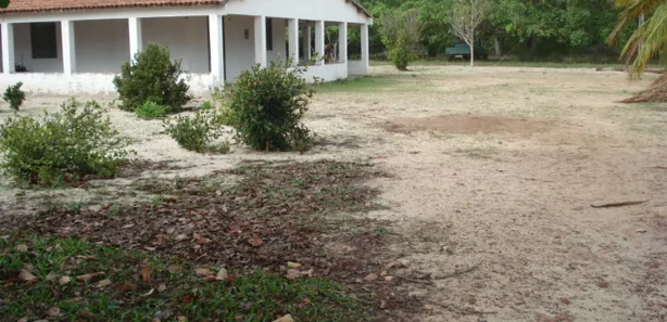 Fazenda / Sítio / Chácara com 4 Quartos à venda, 196213m² no Centro, São Gonçalo do Amarante
