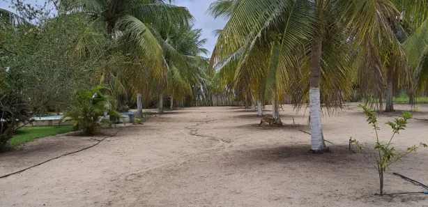 Fazenda / Sítio / Chácara com 3 Quartos à venda, 1670000m² no , Vera Cruz