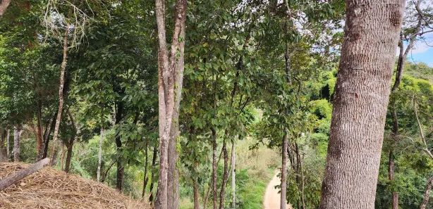 Fazenda / Sítio / Chácara à venda, 2402m² no Bom Destino, Santa Luzia