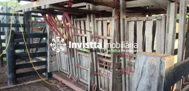 Fazenda / Sítio / Chácara à venda, 1450m² no Centro, Pium