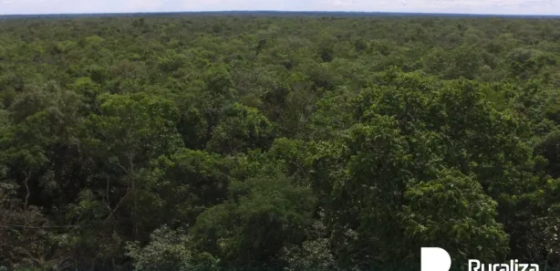 Fazenda / Sítio / Chácara à venda, 571m² no , Lagoa da Confusão