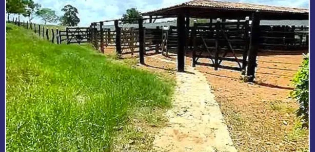 Fazenda / Sítio / Chácara à venda, 408000000m² no Centro, Nossa Senhora das Dores