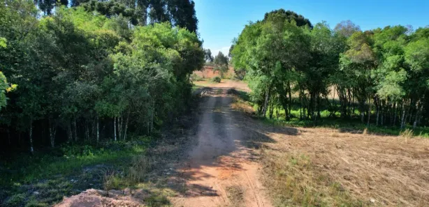Fazenda / Sítio / Chácara com 1 Quarto à venda, 36000m² no Eucaliptos, Fazenda Rio Grande