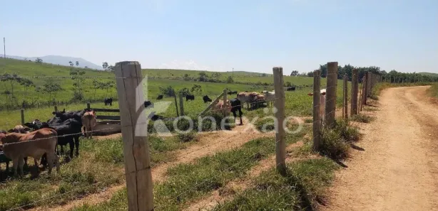 Fazenda / Sítio / Chácara com 2 Quartos à venda, 249m² no Chácara Marambaia, Caçapava
