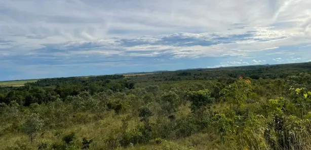 Fazenda / Sítio / Chácara à venda, 7332600m² no , Santa Maria do Tocantins