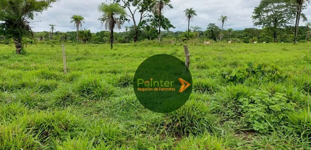 Fazenda / Sítio / Chácara com 3 Quartos à venda, 25748800m² no Parque Residencial Nova Fronteira, Gurupi