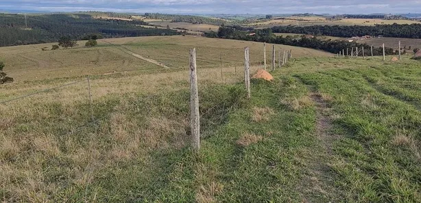 Fazenda / Sítio / Chácara com 3 Quartos à venda, 150m² no , Alambari