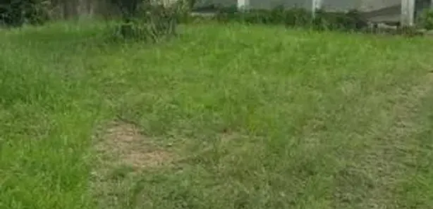 Fazenda / Sítio / Chácara com 4 Quartos à venda, 270000m² no Matriz, Vitória de Santo Antão