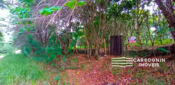 Fazenda / Sítio / Chácara com 1 Quarto à venda, 3000m² no Caçapava Velha, Caçapava