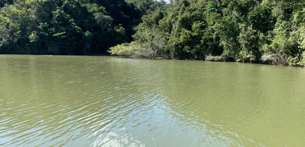 Terreno / Lote / Condomínio à venda, 1250m² no , Abadiânia