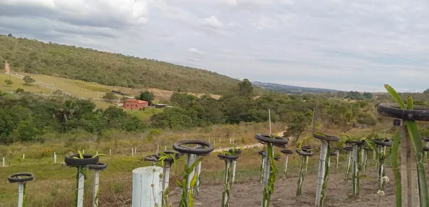Fazenda / Sítio / Chácara com 2 Quartos à venda, 37000m² no Brazlândia, Brasília