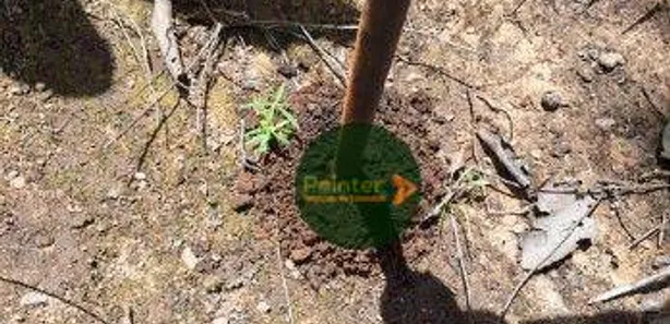 Fazenda / Sítio / Chácara à venda, 4900500m² no , Ponte Alta do Tocantins