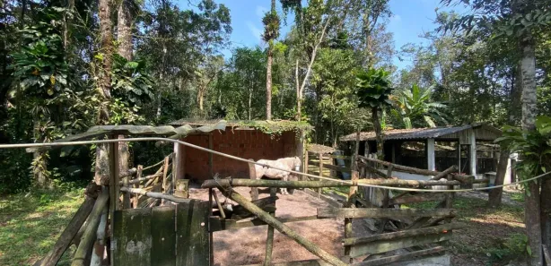 Fazenda / Sítio / Chácara com 1 Quarto à venda, 1076m² no Gaivota (Interior), Itanhaém