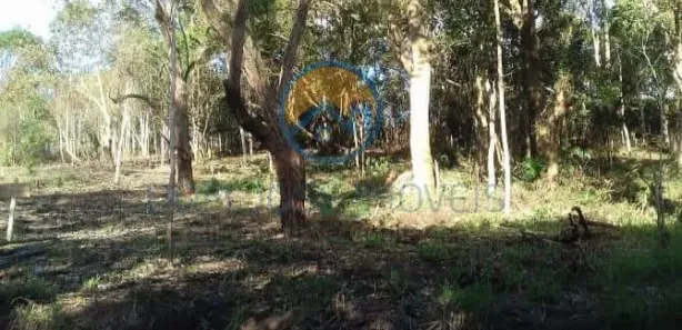 Terreno / Lote / Condomínio à venda, 3000m² no , São Lourenço da Serra