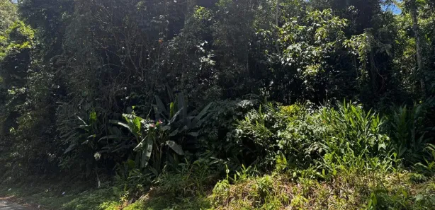 Terreno / Lote / Condomínio à venda, 10m² no Quitandinha, Petrópolis