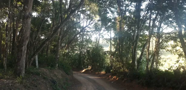 Terreno / Lote / Condomínio à venda, 1000m² no Ortizes, Piedade