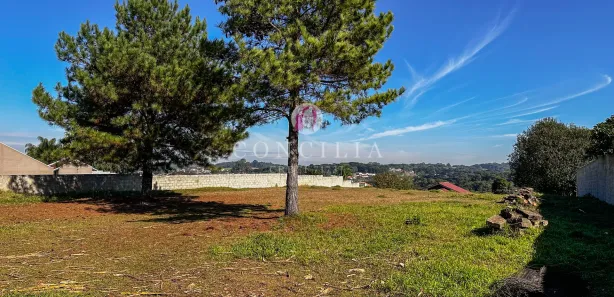 Fazenda / Sítio / Chácara à venda, 3300m² no Jardim Boa Vista, Campo Largo
