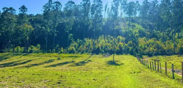 Fazenda / Sítio / Chácara com 4 Quartos à venda, 1000m² no , Alumínio