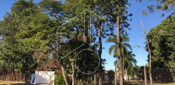 Fazenda / Sítio / Chácara com 3 Quartos para alugar, 12m² no Sítios de Recreio Santa Gertrudes, Marília