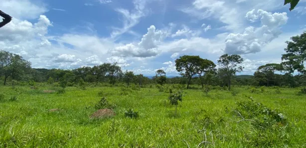 Terreno / Lote / Condomínio à venda, 20000m² no Centro, Pirenópolis