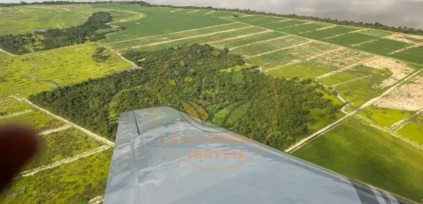 Fazenda / Sítio / Chácara com 6 Quartos à venda, 834m² no CENTRO, Lagoa da Confusão