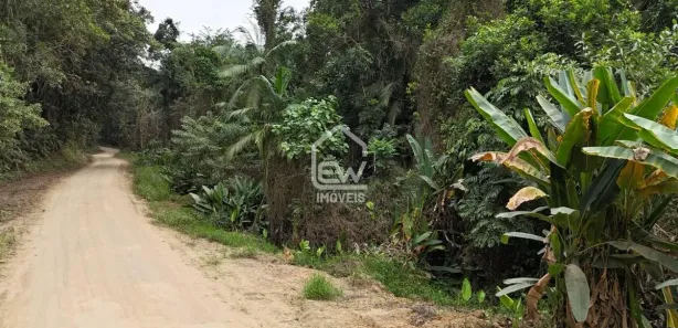 Terreno / Lote / Condomínio com 1 Quarto à venda, 39985m² no , Massaranduba