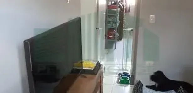 Apartamento com 3 Quartos para alugar, 61m² no Jardim São Paulo, Recife