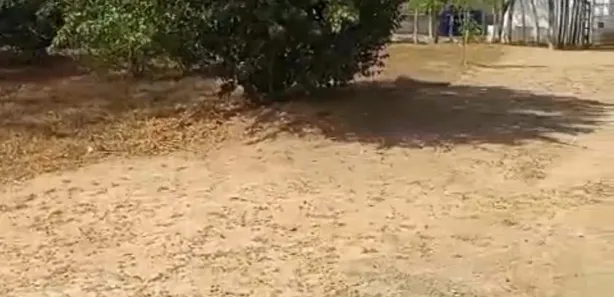Fazenda / Sítio / Chácara com 4 Quartos à venda, 150000m² no , Feira Nova
