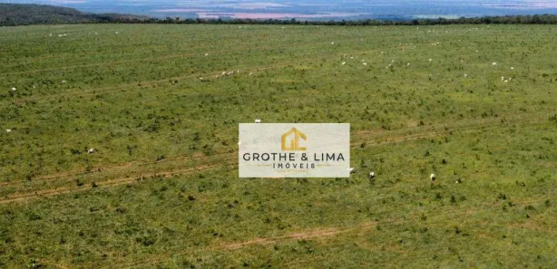Fazenda / Sítio / Chácara à venda, 900m² no , Paranã