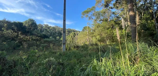 Fazenda / Sítio / Chácara à venda, 5500m² no Pacotuba, Almirante Tamandaré