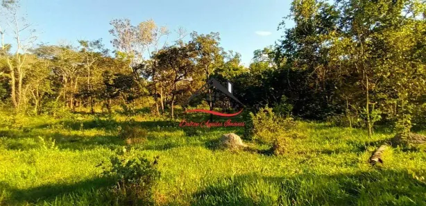 Terreno / Lote / Condomínio à venda, 11250m² no Santa Paula, Ribeirão das Neves