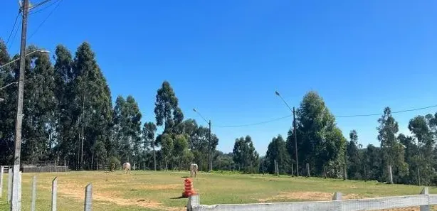 Fazenda / Sítio / Chácara com 6 Quartos à venda, 24200m² no Pacotuba, Almirante Tamandaré