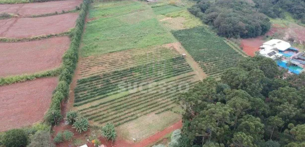 Fazenda / Sítio / Chácara à venda, 84089m² no Santa Felicidade, Cascavel