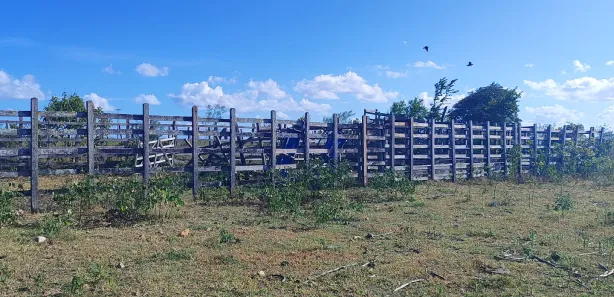 Fazenda / Sítio / Chácara com 4 Quartos à venda, 720000m² no , Brejinho