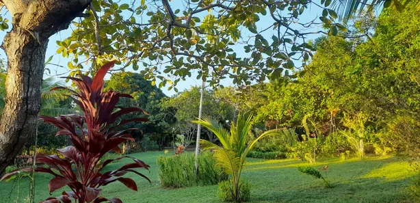 Casa com 3 Quartos à venda, 5700m² no Barra do Pojuca (Monte Gordo), Camaçari