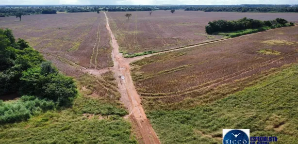 Terreno / Lote / Condomínio à venda, 1243m² no Setor Central, Formoso do Araguaia