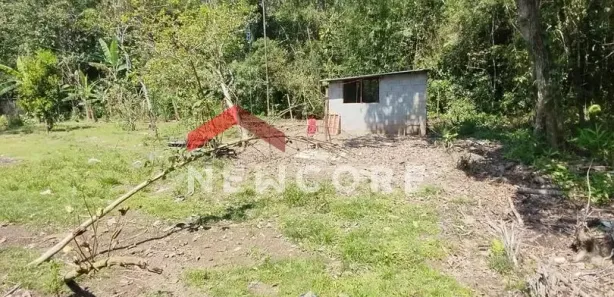 Fazenda / Sítio / Chácara à venda, 1250m² no Jardim Aguapeu, Itanhaém