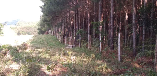Fazenda / Sítio / Chácara à venda, 359370m² no , Rio Branco do Sul